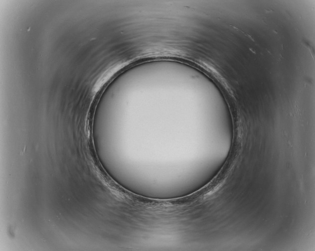 X0000102780885200808180928