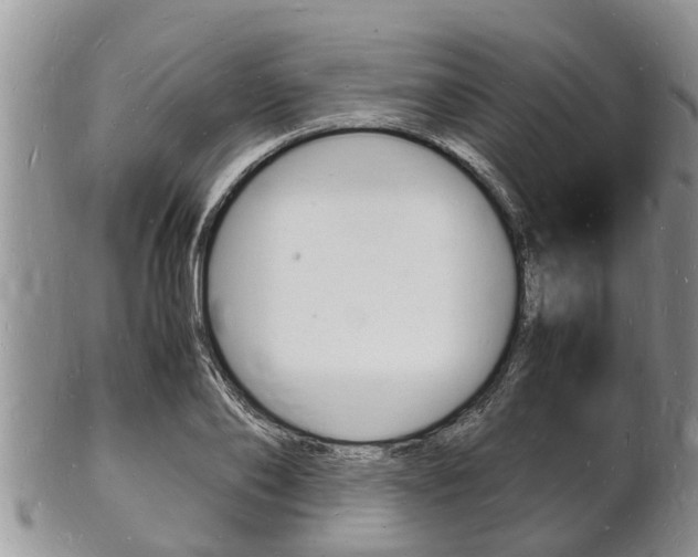 X0000102780886200808180928
