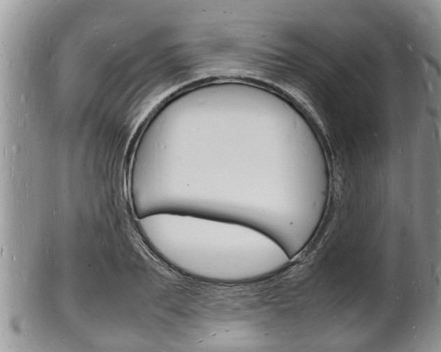 X0000102780887200808180928