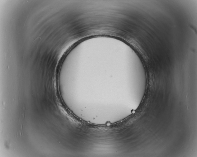X0000102780888200808180928