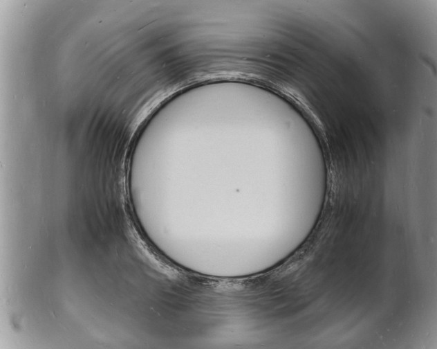 X0000102780890200808180928