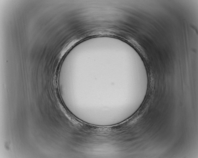 X0000102780893200808180928