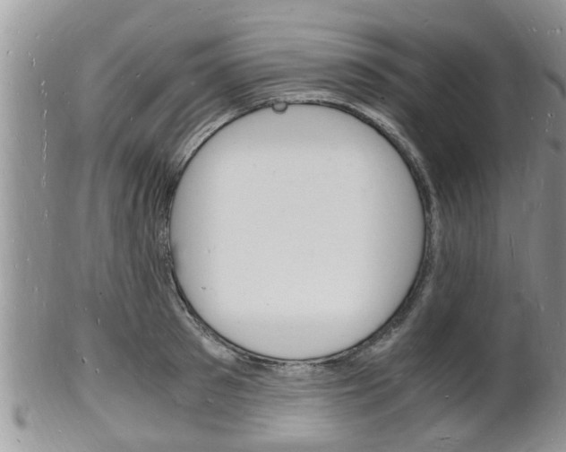 X0000102780897200808180928