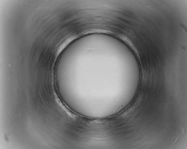 X0000102780898200808180928