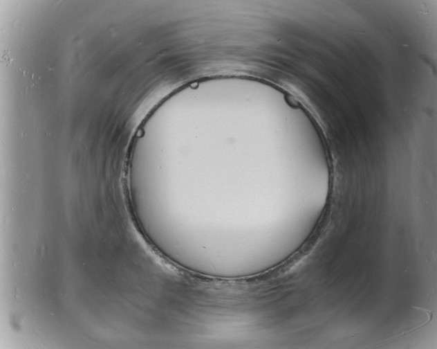 X0000102780901200808180928
