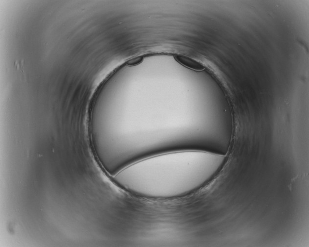X0000102780902200808180928