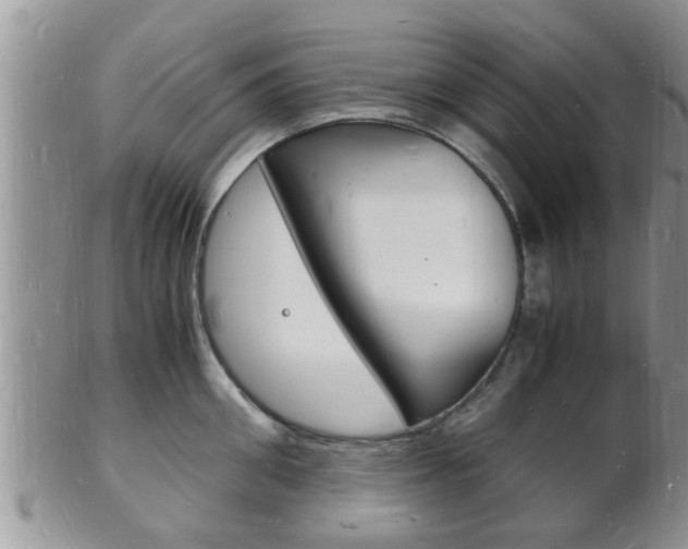 X0000102780906200808180928