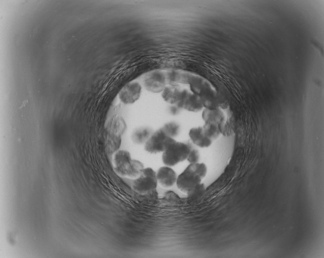 X0000102780913200808180927