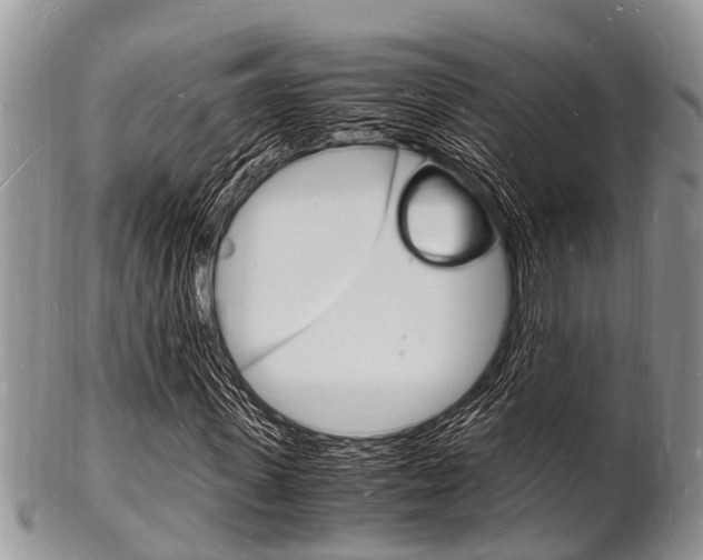 X0000102780915200808180927