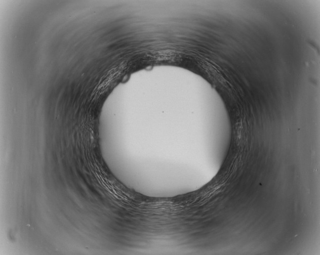 X0000102780916200808180927