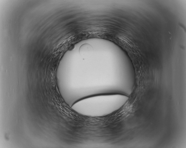 X0000102780917200808180928