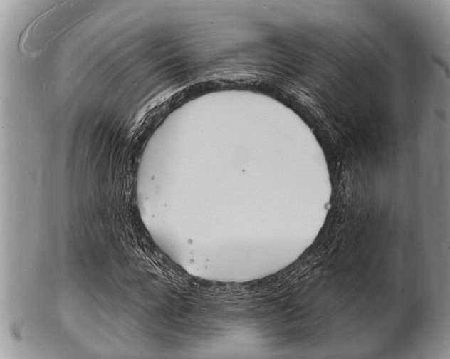 X0000102780920200808180928
