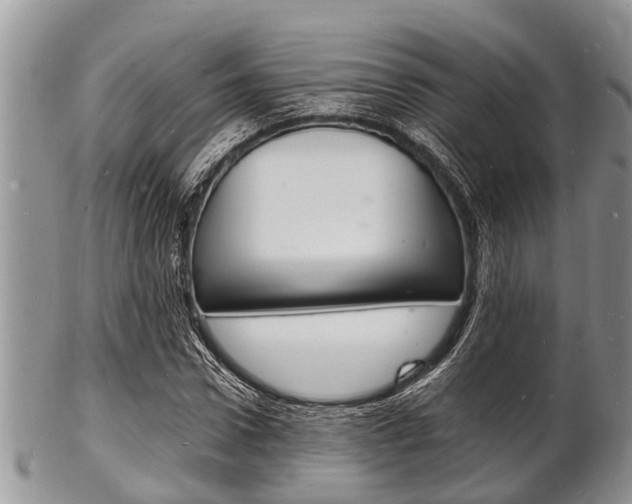 X0000102780922200808180928