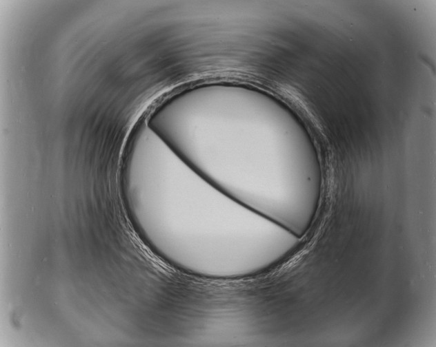 X0000102780924200808180928