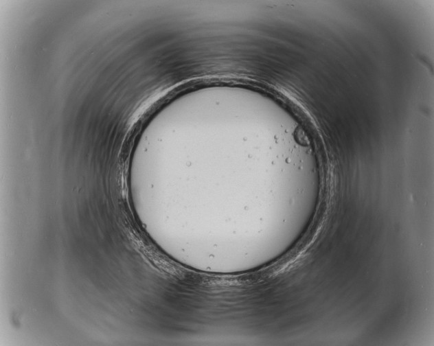 X0000102780925200808180928