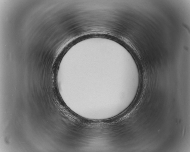 X0000102780926200808180928