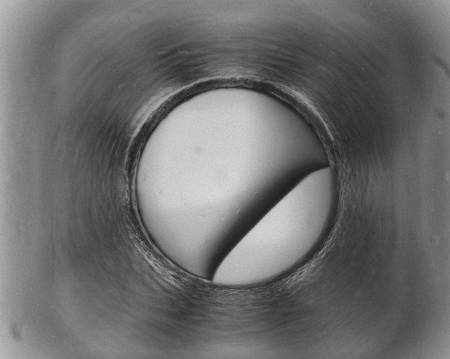 X0000102780927200808180928
