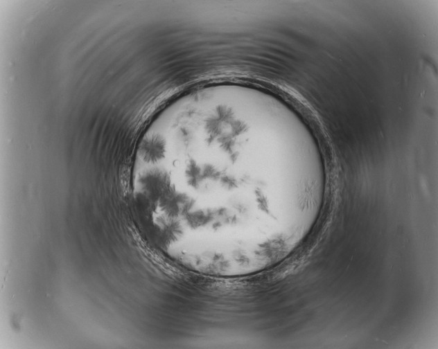X0000102780929200808180928