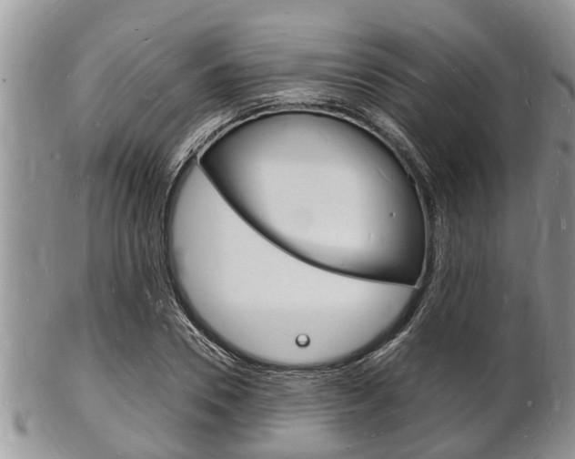X0000102780930200808180928