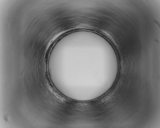 X0000102780931200808180928