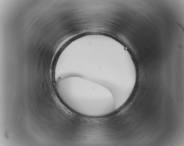 X0000102780932200808180928