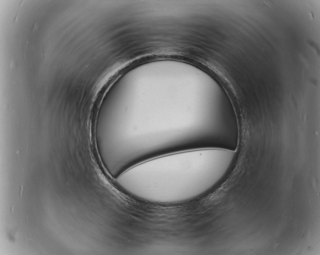X0000102780935200808180928
