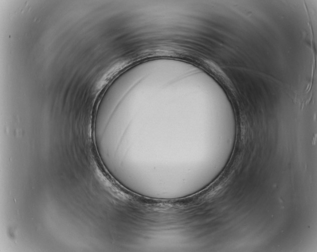 X0000102780938200808180928