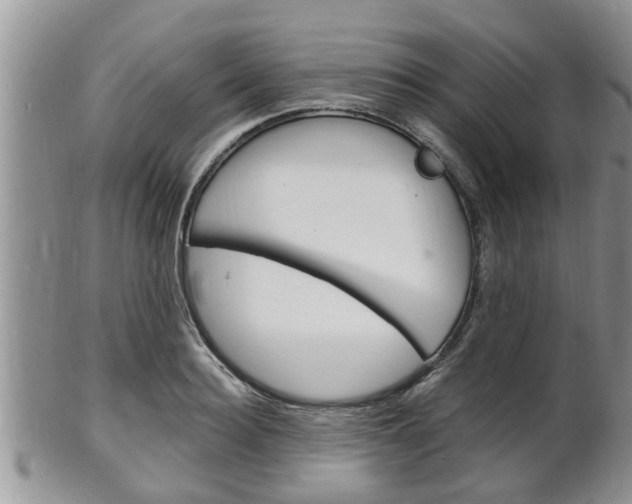 X0000102780940200808180928