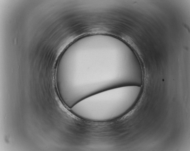 X0000102780941200808180928