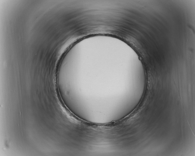 X0000102780942200808180928
