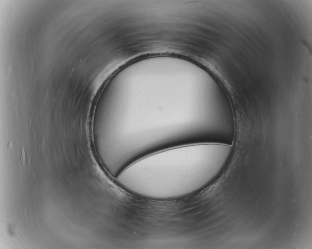 X0000102780943200808180928