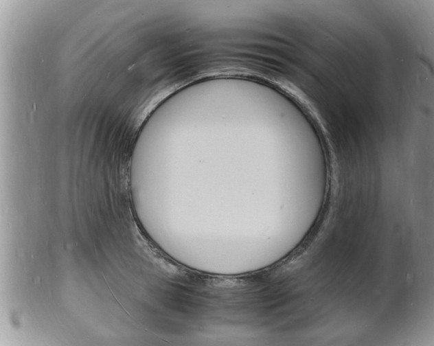 X0000102780945200808180928