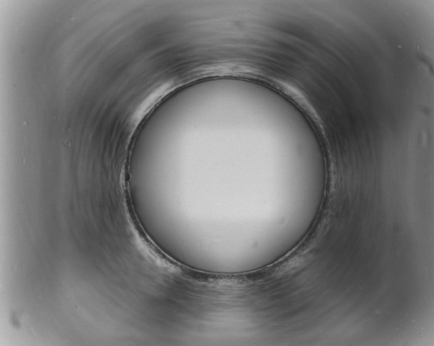 X0000102780946200808180928