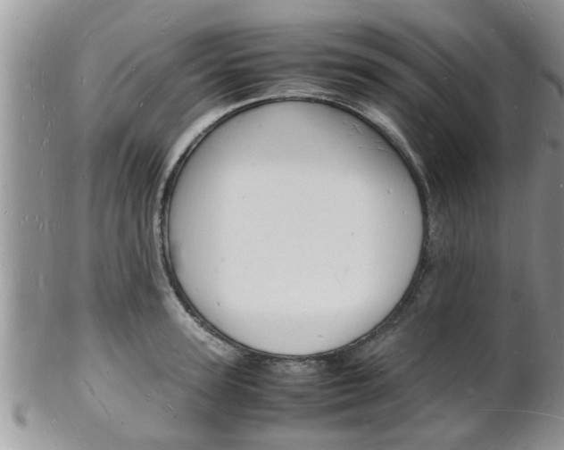 X0000102780947200808180928