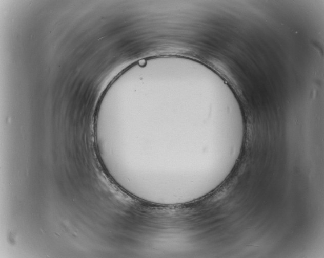 X0000102780948200808180928