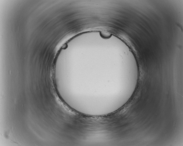 X0000102780952200808180928