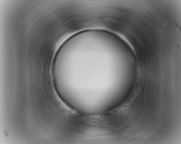 X0000102780959200808180928