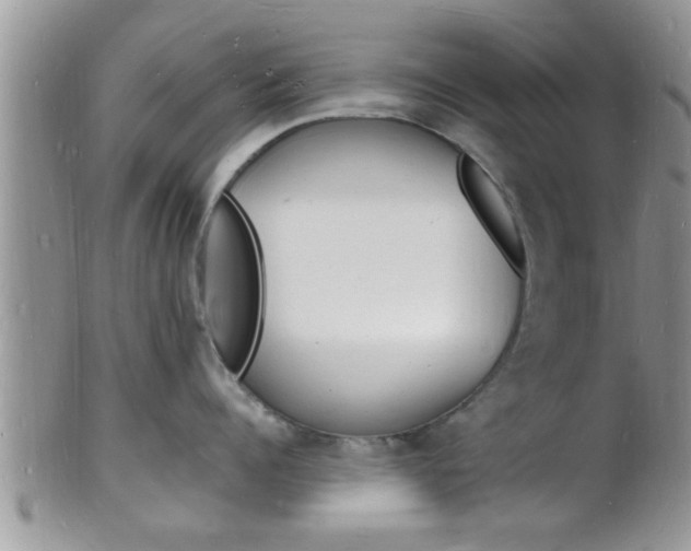 X0000102780960200808180928