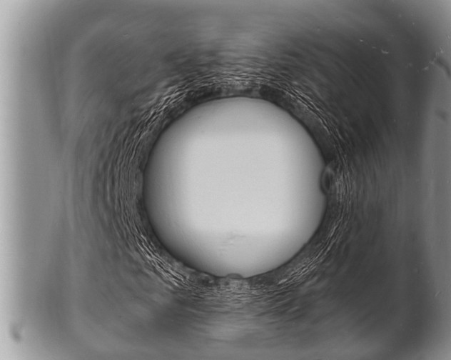 X0000102780961200808180927
