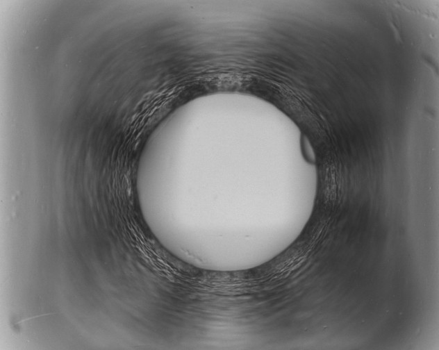 X0000102780962200808180927