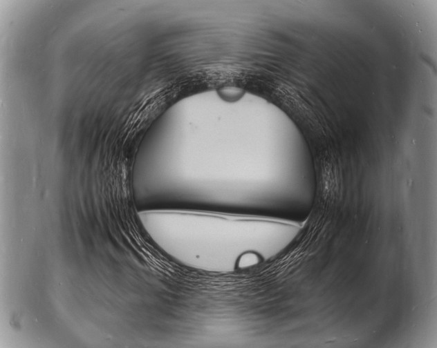 X0000102780964200808180927