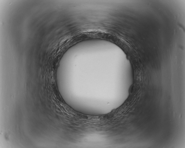 X0000102780965200808180927