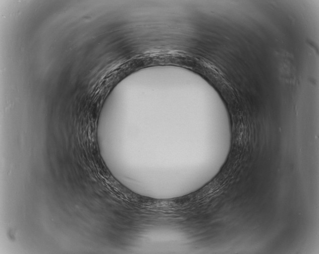 X0000102780966200808180927