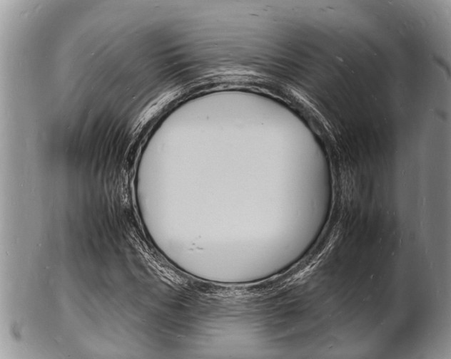 X0000102780970200808180927