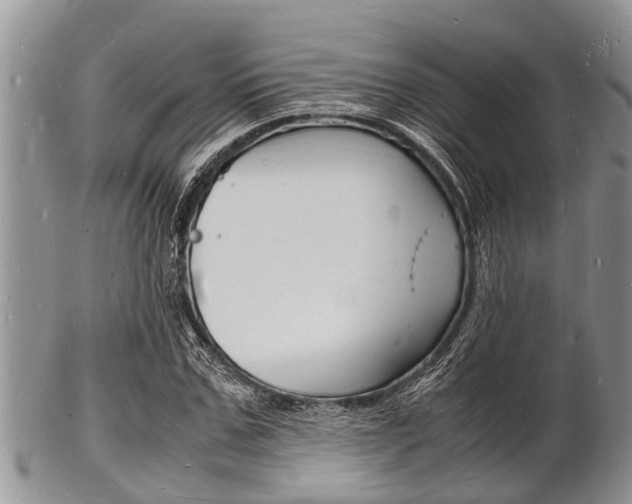 X0000102780971200808180927