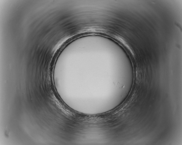 X0000102780972200808180927