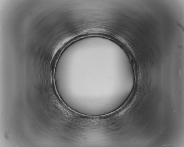 X0000102780973200808180927