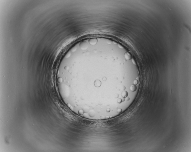 X0000102780974200808180927