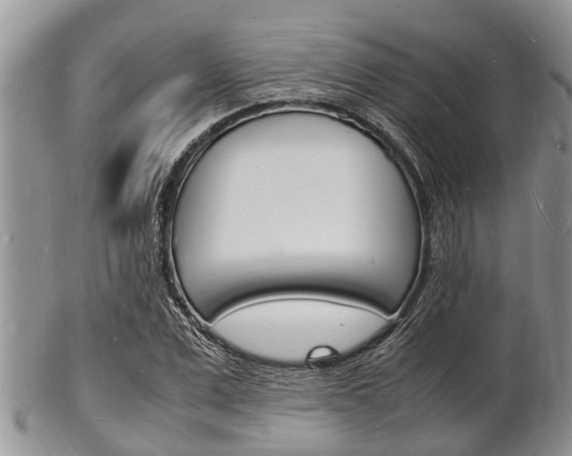 X0000102780975200808180927