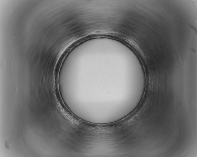 X0000102780976200808180927